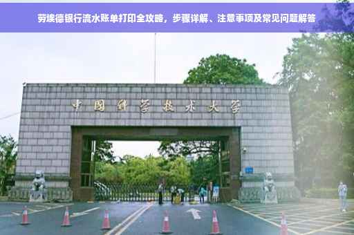 劳埃德银行流水账单打印全攻略，步骤详解、注意事项及常见问题解答