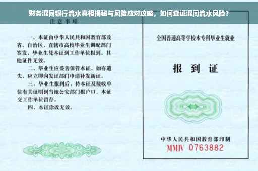 财务混同银行流水真相揭秘与风险应对攻略，如何查证混同流水风险？