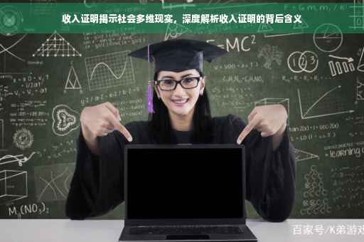 收入证明揭示社会多维现实，深度解析收入证明的背后含义