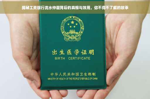 揭秘工资银行流水仲裁背后的真相与效用，你不得不了解的故事