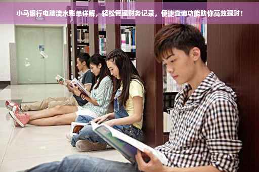小马银行电脑流水账单详解，轻松管理财务记录，便捷查询功能助你高效理财！