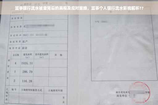 监事银行流水被查背后的真相及应对策略，监事个人银行流水影响解析??