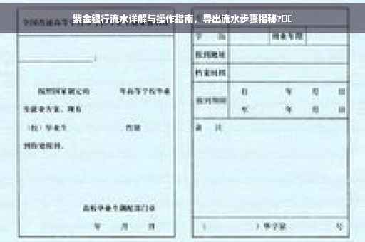 紫金银行流水详解与操作指南，导出流水步骤揭秘?⚡️