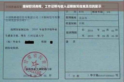 揭秘职场真相，工作证明与收入证明撰写指南及范例展示