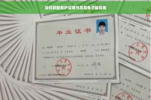 如何获取救护证明书及其电子版指南