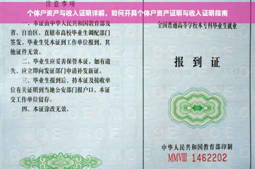 个体户资产与收入证明详解，如何开具个体户资产证明与收入证明指南