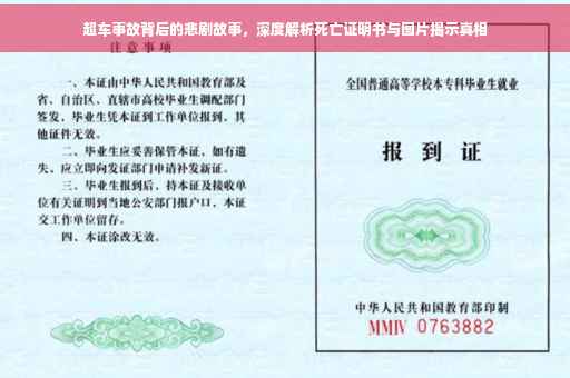 超车事故背后的悲剧故事，深度解析死亡证明书与图片揭示真相