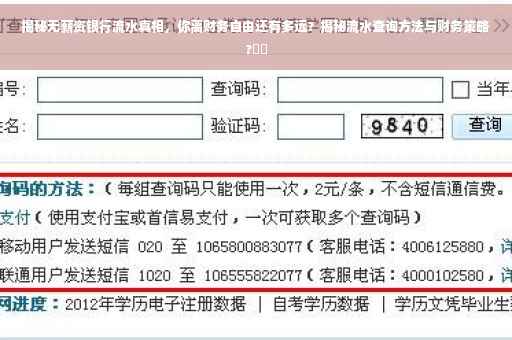 揭秘无薪资银行流水真相，你离财务自由还有多远？揭秘流水查询方法与财务策略?⚡️
