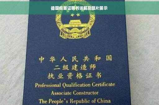德国疫苗证明书详解及图片展示