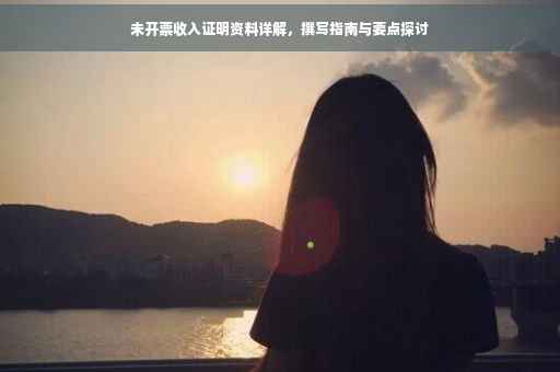 未开票收入证明资料详解，撰写指南与要点探讨