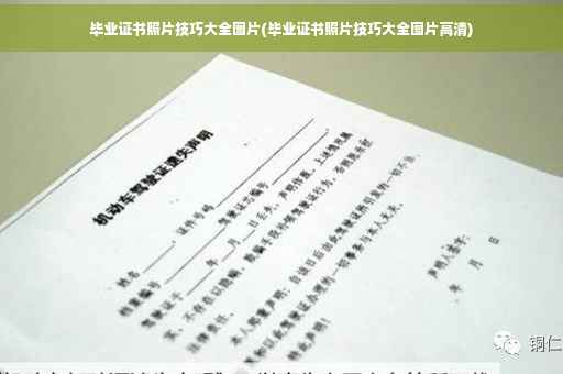 毕业证书照片技巧大全图片(毕业证书照片技巧大全图片高清)