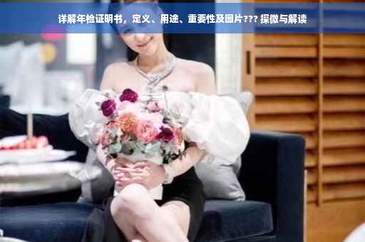详解年检证明书，定义、用途、重要性及图片??? 探微与解读