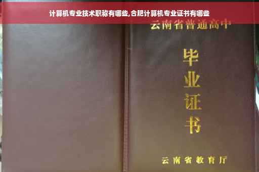 计算机专业技术职称有哪些,合肥计算机专业证书有哪些