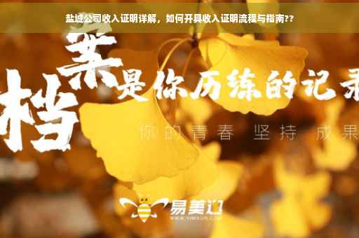 盐城公司收入证明详解，如何开具收入证明流程与指南??