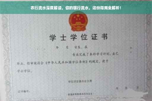 农行流水深度解读，你的银行流水，这份指南全解析！