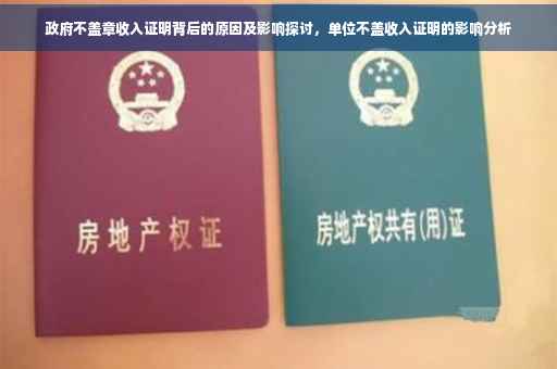 政府不盖章收入证明背后的原因及影响探讨，单位不盖收入证明的影响分析