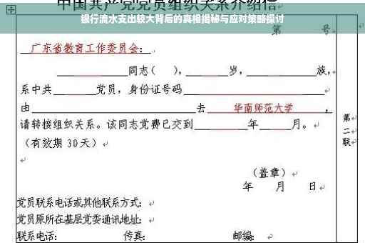 银行流水支出较大背后的真相揭秘与应对策略探讨