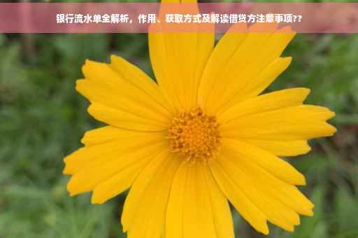 银行流水单全解析，作用、获取方式及解读借贷方注意事项??