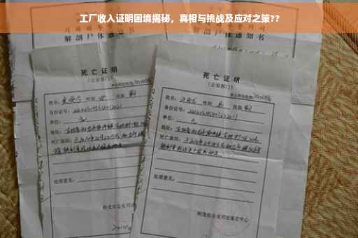 工厂收入证明困境揭秘，真相与挑战及应对之策??