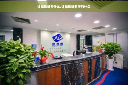 计算机证考什么,计算机证书考的什么
