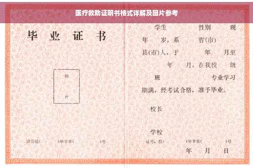 医疗救助证明书格式详解及图片参考