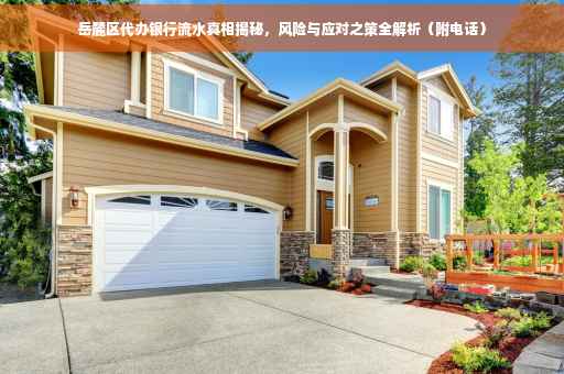 岳麓区代办银行流水真相揭秘，风险与应对之策全解析（附电话）