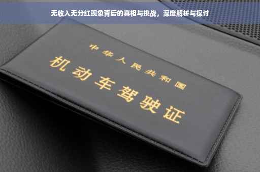 无收入无分红现象背后的真相与挑战，深度解析与探讨