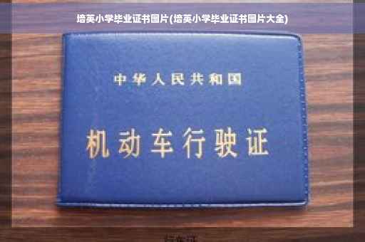 培英小学毕业证书图片(培英小学毕业证书图片大全)