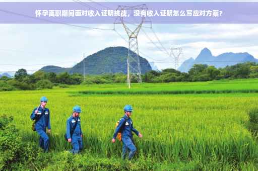 怀孕离职期间面对收入证明挑战，没有收入证明怎么写应对方案？