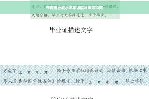 苍南银行流水范本详解及查询指南