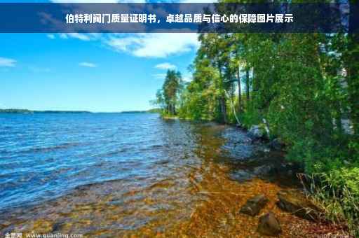 伯特利阀门质量证明书，卓越品质与信心的保障图片展示