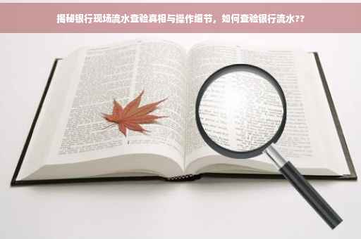 揭秘银行现场流水查验真相与操作细节，如何查验银行流水??