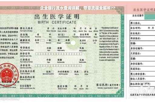 企业银行流水查询详解，带章流程全解析??