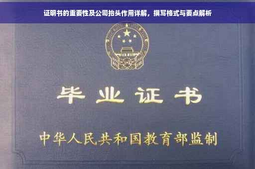 证明书的重要性及公司抬头作用详解，撰写格式与要点解析
