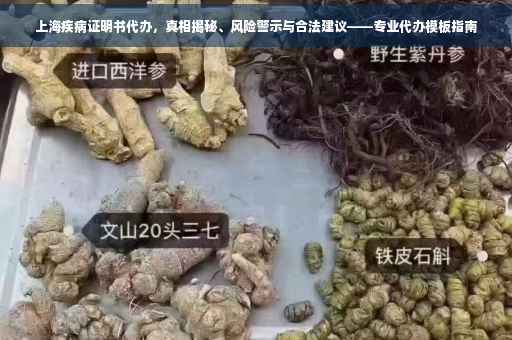 上海疾病证明书代办，真相揭秘、风险警示与合法建议——专业代办模板指南