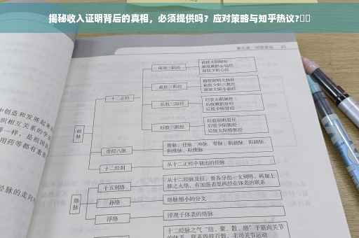 揭秘收入证明背后的真相，必须提供吗？应对策略与知乎热议?⚡️