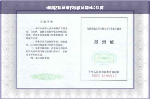动物防疫证明书模板及其图片指南