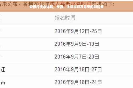 查银行流水详解，步骤、注意事项及常见问题解答