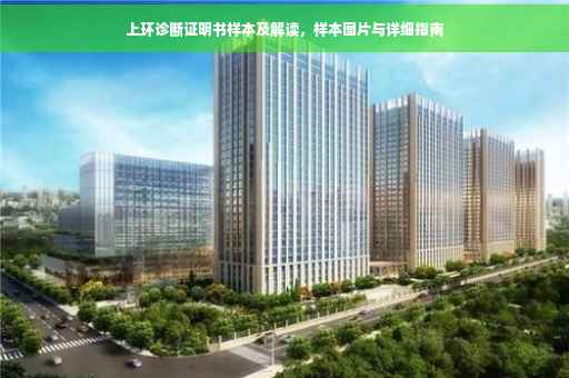 上环诊断证明书样本及解读，样本图片与详细指南