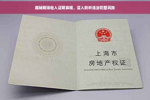 揭秘网赌收入证明真相，深入剖析违法犯罪风险