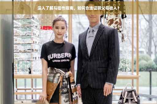 深入了解与操作指南，如何合法证明父母收入？