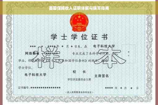 美国保姆收入证明详解与撰写指南