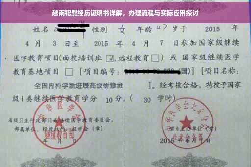 越南犯罪经历证明书详解，办理流程与实际应用探讨