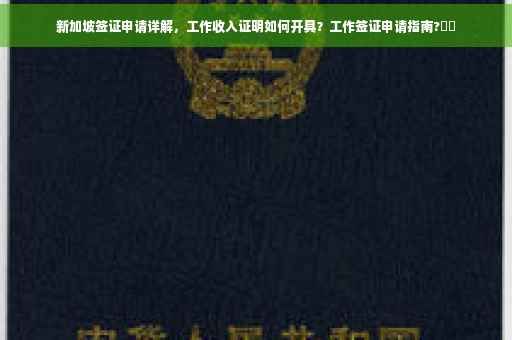 新加坡签证申请详解，工作收入证明如何开具？工作签证申请指南?⚡️