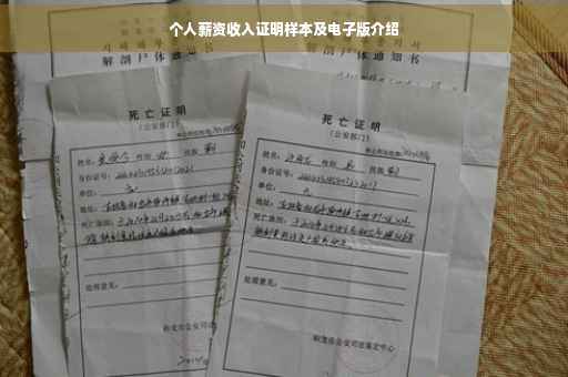 个人薪资收入证明样本及电子版介绍