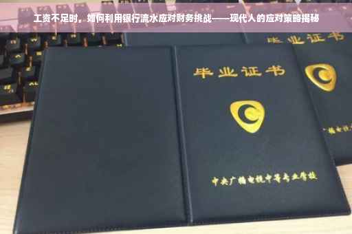 工资不足时，如何利用银行流水应对财务挑战——现代人的应对策略揭秘