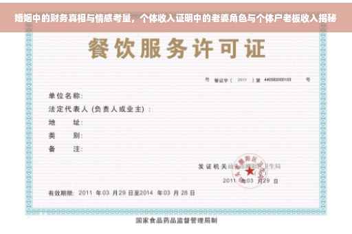 婚姻中的财务真相与情感考量，个体收入证明中的老婆角色与个体户老板收入揭秘