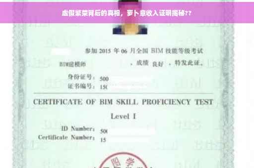 虚假繁荣背后的真相，萝卜章收入证明揭秘??