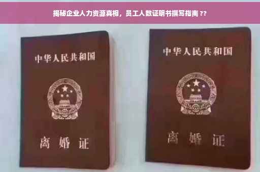 揭秘企业人力资源真相，员工人数证明书撰写指南 ??