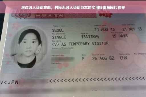 应对收入证明难题，村民无收入证明范本的实用指南与图片参考